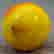 item-137105039=3