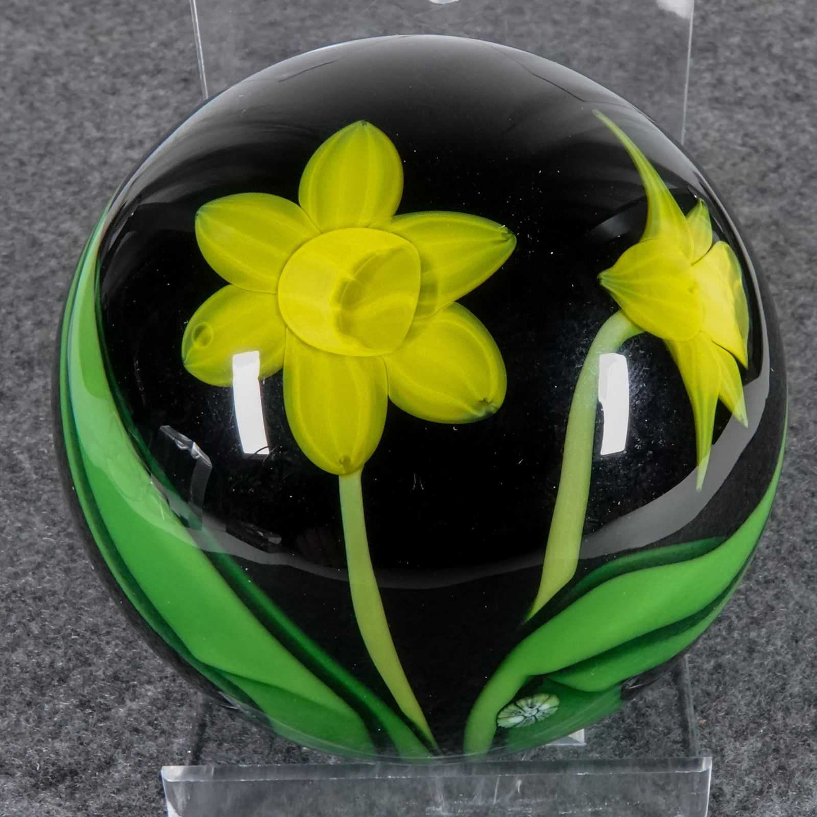 PAPERWEIGHT, Orient & Flume. Daffodils. Sillars.: PAPERWEIGHT, Orient & Flume. Black base with daffodils on the surface. Signed on base "Orient+Flume 23 D 1983 B. Sillars". Width: 2-7/8". Height: 2-5/8". Mint.