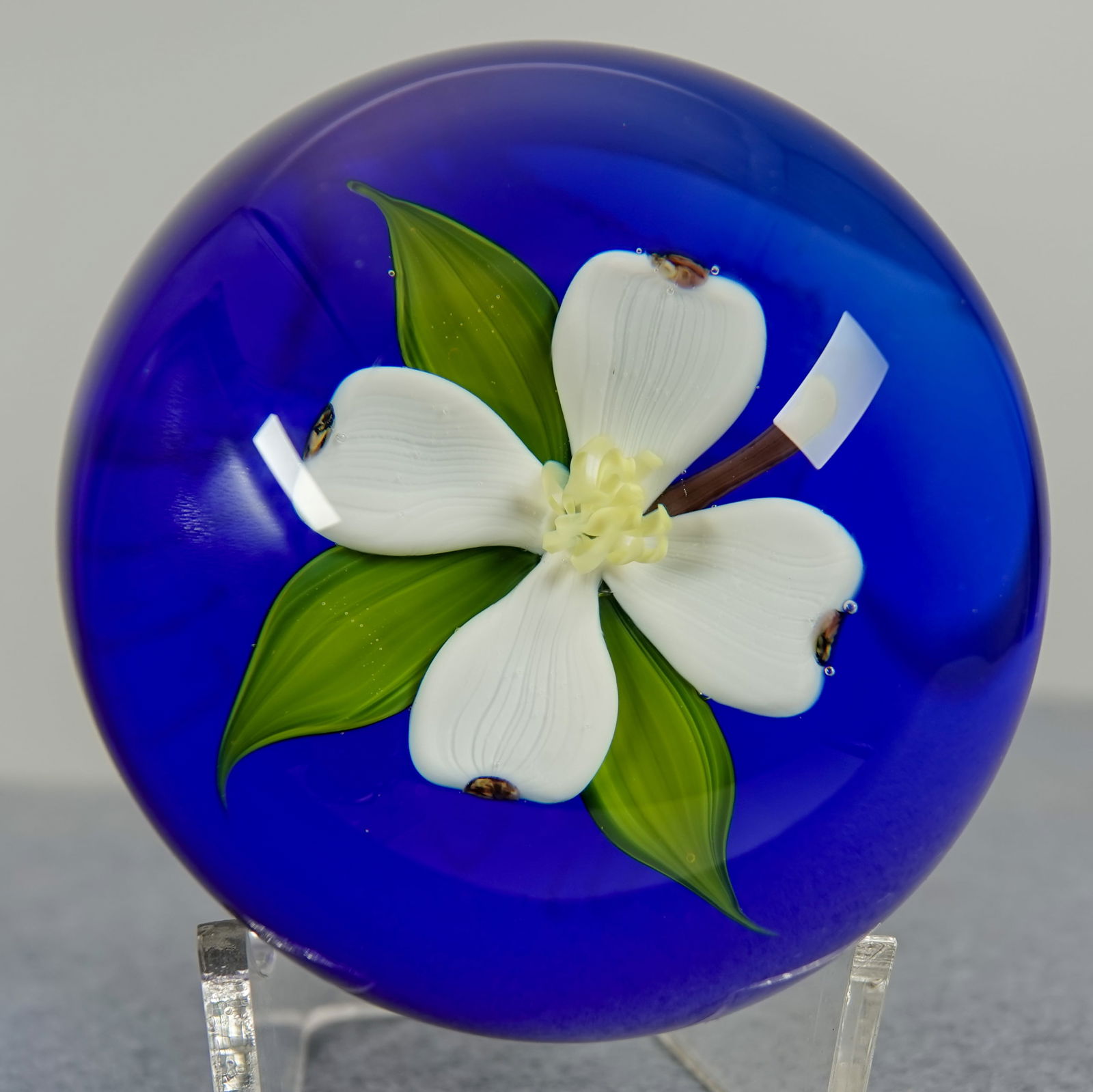 PAPERWEIGHT, Paul Stankard. Dogwood Blossom.: PAPERWEIGHT, Paul Stankard. Beautiful Dogwood blossom, floating about blue base. Signed on bottom with a "PS" signature cane and scratched "15/35 c 1973". 2-3/8" width, 2" height. Mint.