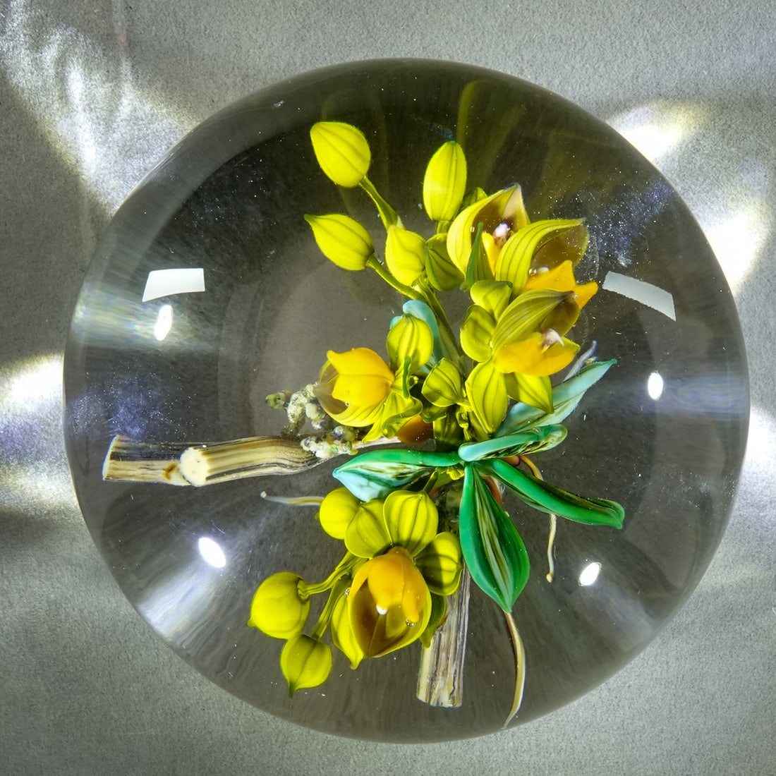 PAPERWEIGHT, Paul Stankard. Floral. Bittersweet branch.: PAPERWEIGHT, Paul Stankard. Bittersweet. Branches holding Bittersweet flowers and buds. Excellent example of a Paul Stankard floral. Has an "S" cane and is signed "C191 1987". 3-1/2" wide, 2-1/4"