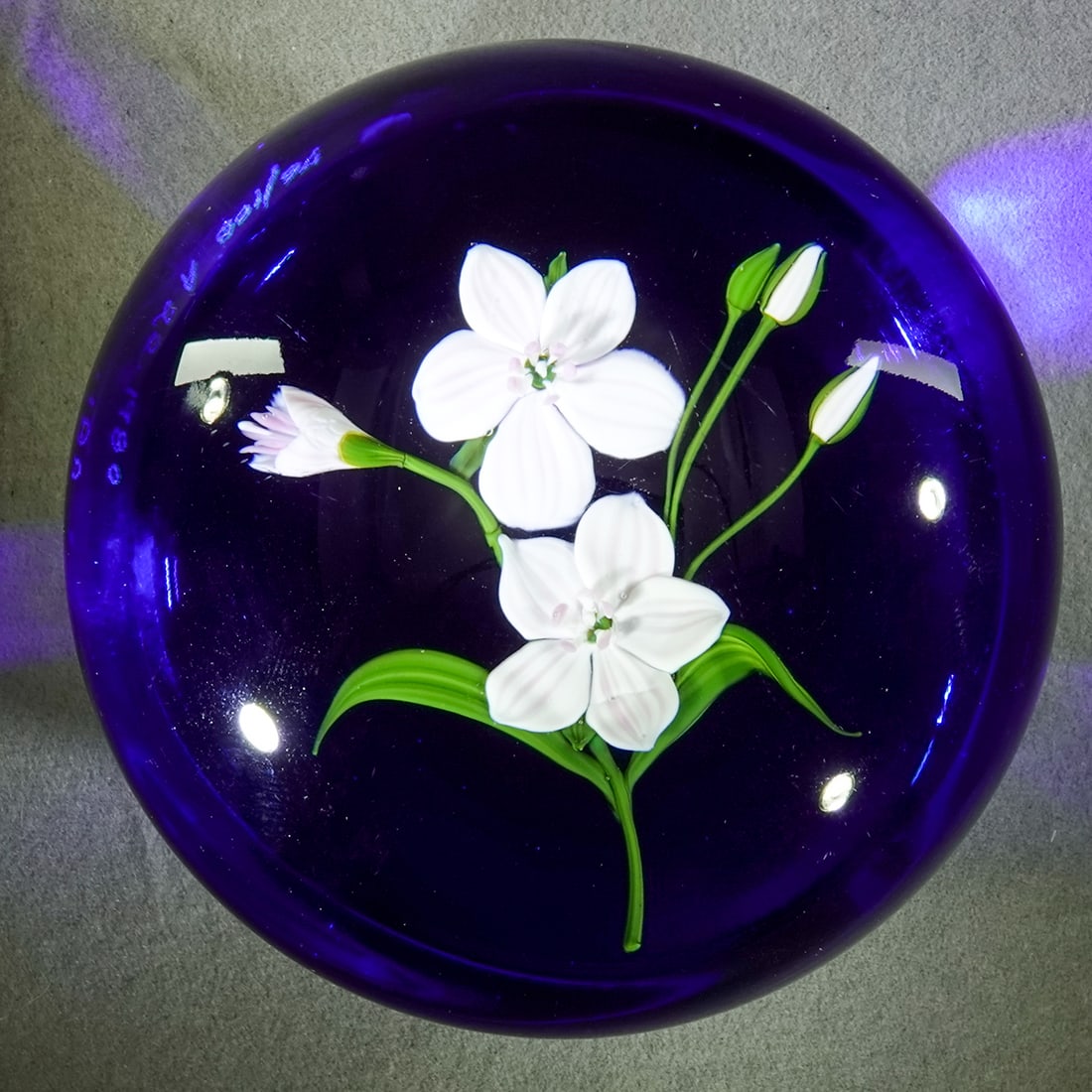 PAPERWEIGHT, Paul Stankard. Floral.: PAPERWEIGHT, Paul Stankard. Nice white flowers on blue flash ground. Stankard signature cane and signed "76/100 1980 A22". 3-1/8" wide, 2-1/4" tall .