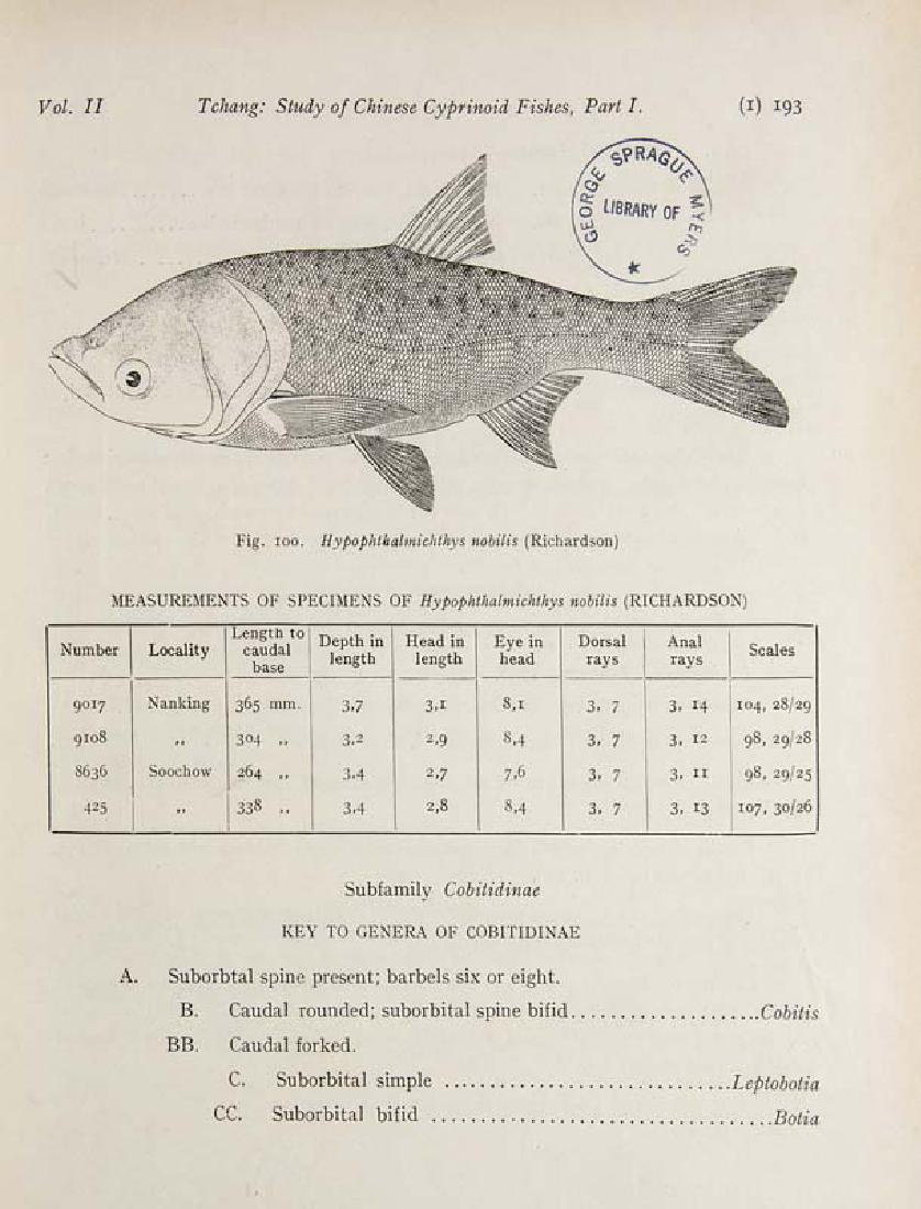 Tchang, Tchung-Lin The Study of Chinese Cyprinoid (1 of 1)