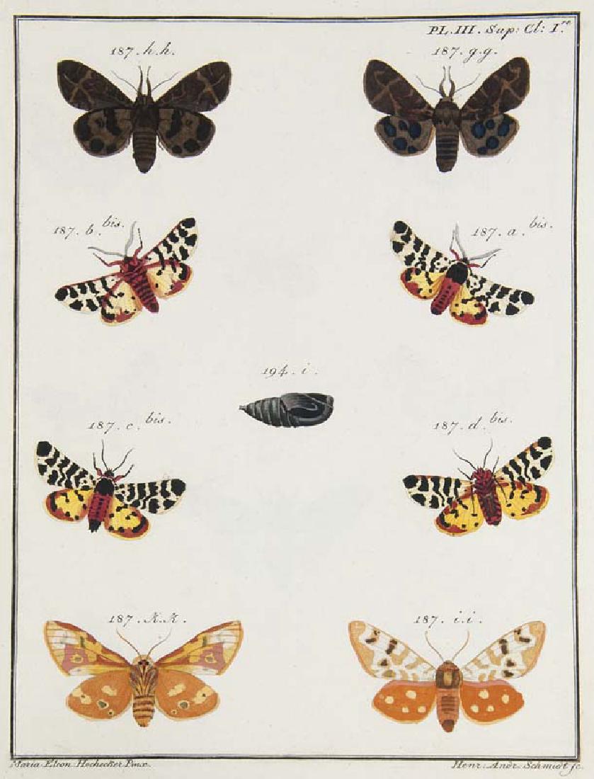 Schmidt, Henr. Andr. nach Maria Eleon. Hochecker (1 of 1)