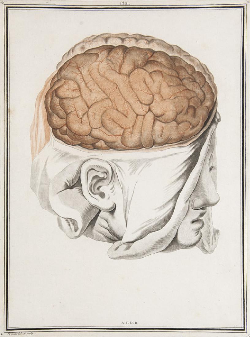 Vicq d'Azyr, (1 of 1)