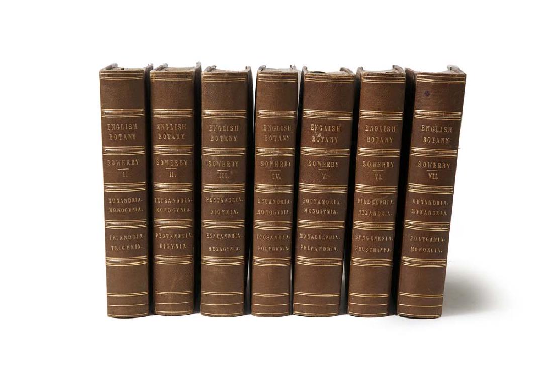 Sowerby, James u. James E. Smith English Botany or: Sowerby, James u. James E. Smith English Botany or coloured Figures if British Plants with their essential characters, synonyms and places of growth. 7 Bde. Mit insgesamt 1553 altkolorierten gestochen