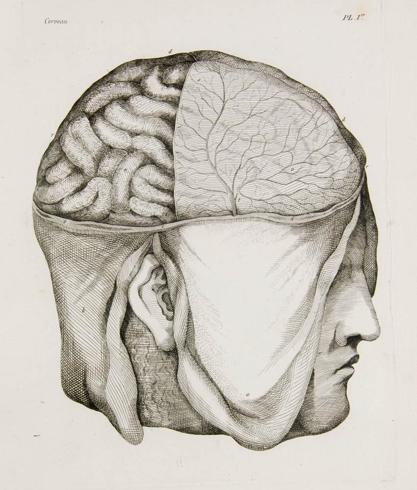 Vicq d'Azyr, Félix Oeuvres de Vicq-d'Azyr, recueillies (1 of 2)