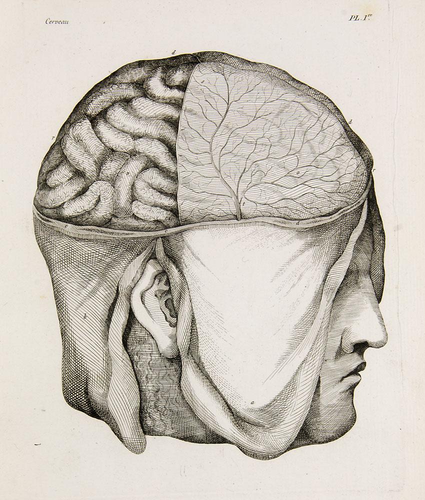 Vicq d'Azyr, Félix Oeuvres de Vicq-d'Azyr, (1 of 2)