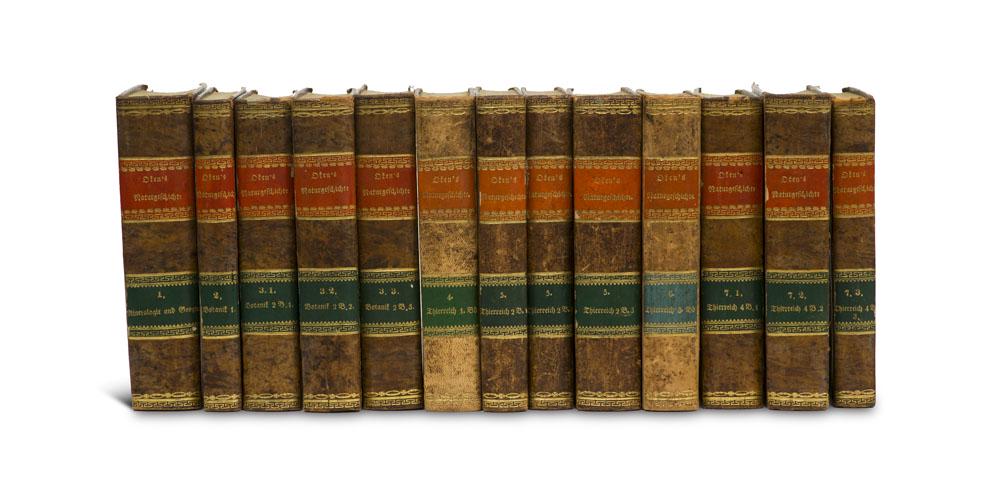 Oken, Lorenz Allgemeine Naturgeschichte für alle (1 of 2)