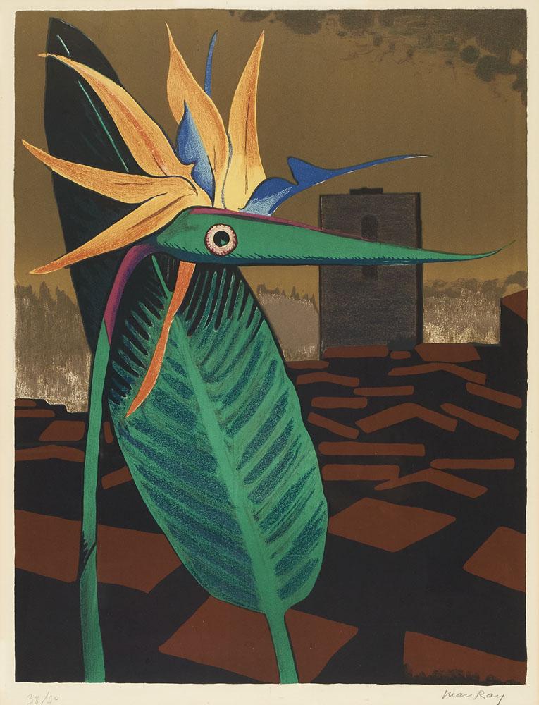 Ray, Man L'Incompreso (Incompris). 1962. (1 of 1)