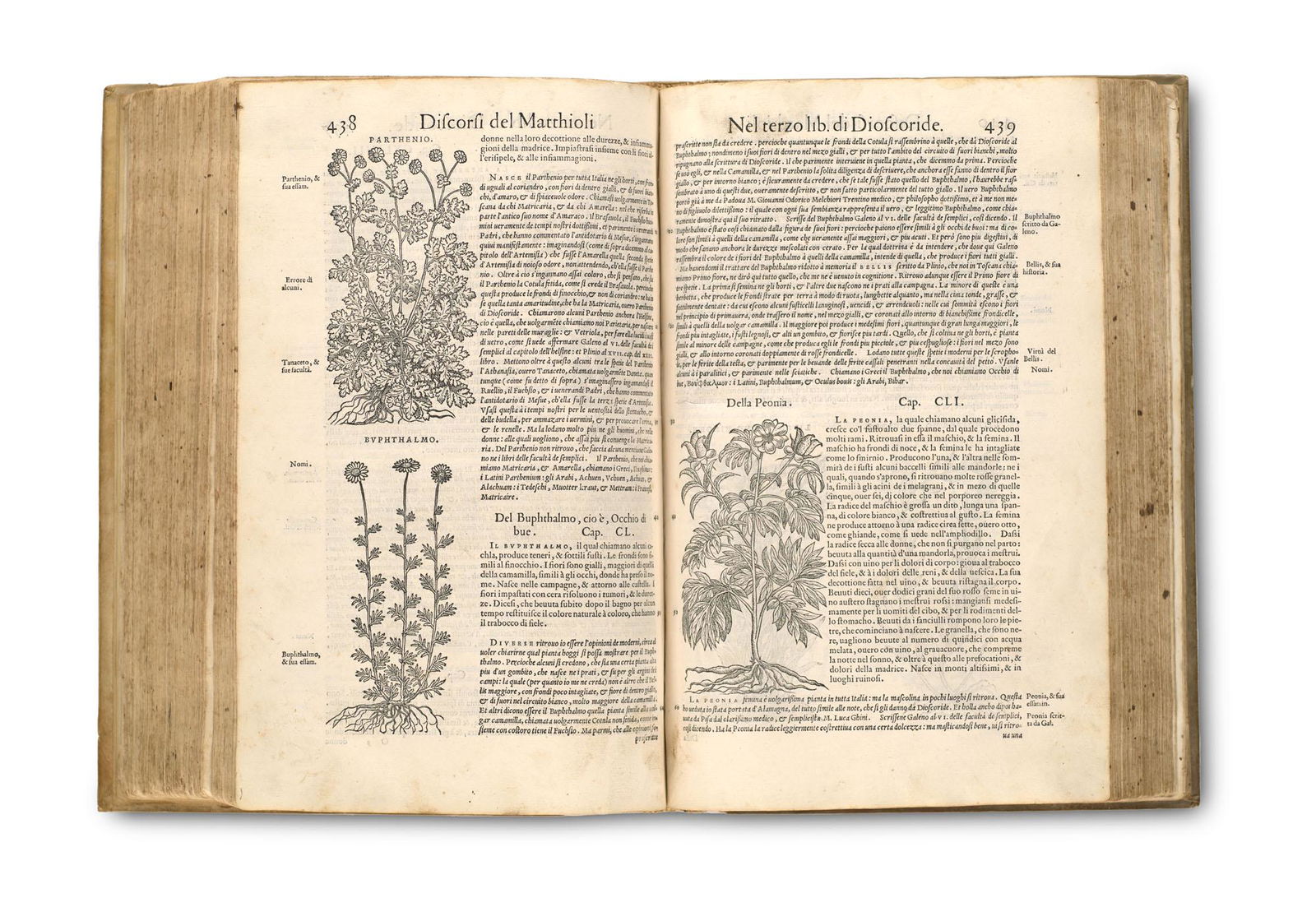 Mattioli, Pietro Andrea I discorsi di M. Pietro Matthioli Medico Sanese Ne I sei libri della Materia (1 of 1)