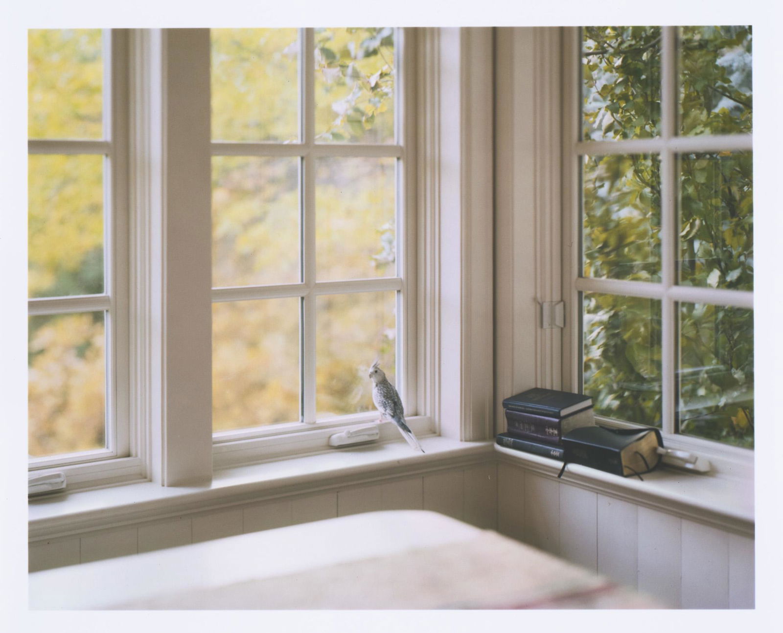 Alec Soth 2 Arbeiten. Je digitaler C-Print auf Photopapier. Je 15 x 15 cm. Je verso mit Etikett,: Soth, Alec 2 Arbeiten. Je digitaler C-Print auf Photopapier. Je 15 x 15 cm. Je verso mit Etikett, dort signiert und mit typographischen Werksanagben. - Guter Zustand. 2 works. Each digital C-print on