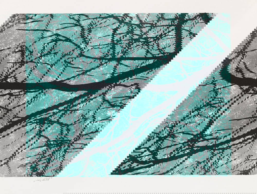 Drühl, Sven 5 Arbeiten. 2001. Mit 1 Farb- Und 1 Lithographie. Je Auf ...