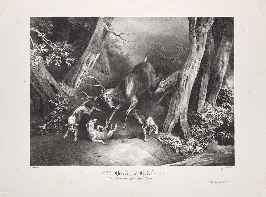 Volmar, Joseph Simon 4 Lithographien mit tierischen Jagdszenen. 1820er Jahre. Je auf Velin.: Jagd Volmar, Joseph Simon 4 Lithographien mit tierischen Jagdszenen. 1820er Jahre. Je auf Velin. Blattmaße von 51,5 x 69,5 cm bis 52,5 x 70,5 cm. Je im Druck signiert, zusätzlich unterhalb d