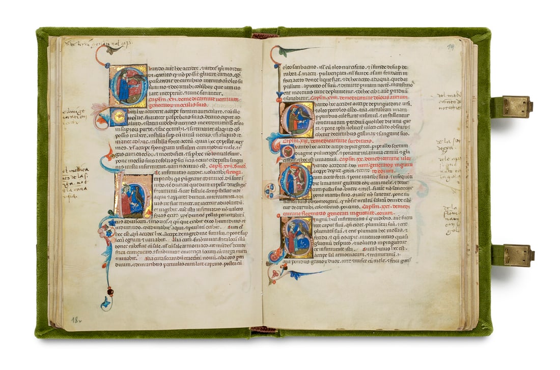 Der Wiener Moamin. Ein Falknereitraktat um 1300. Vollständige Faksimile-Ausgabe im (1 of 1)