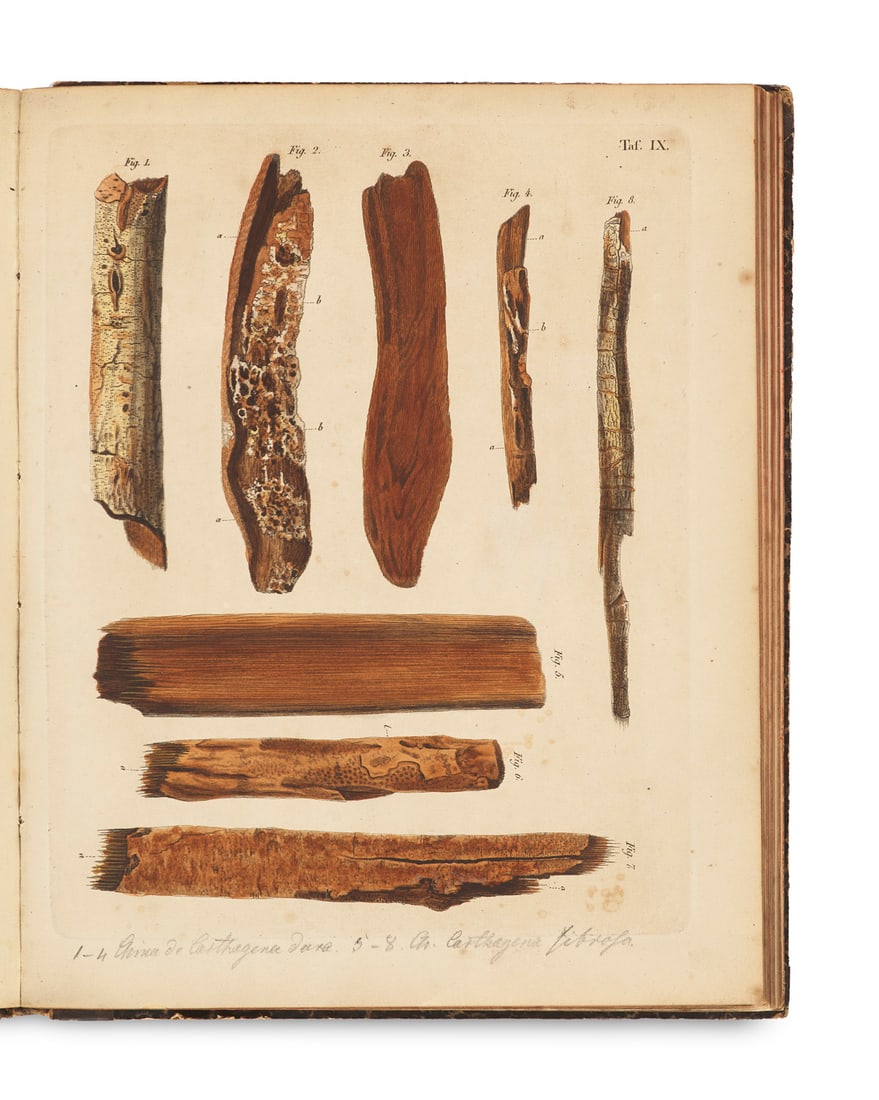 Friedemann und Gustav Kunze Goebel Pharmaceutische Waarenkunde mit illusminierten Kupfern, nach der: Medizin - PharmazieGoebel, Friedemann und Gustav KunzePharmaceutische Waarenkunde mit illusminierten Kupfern, nach der Natur gezeichnet. 2 Bände. (2 Tle in 14 Heften). Mit 71 kolorierten Kupferta