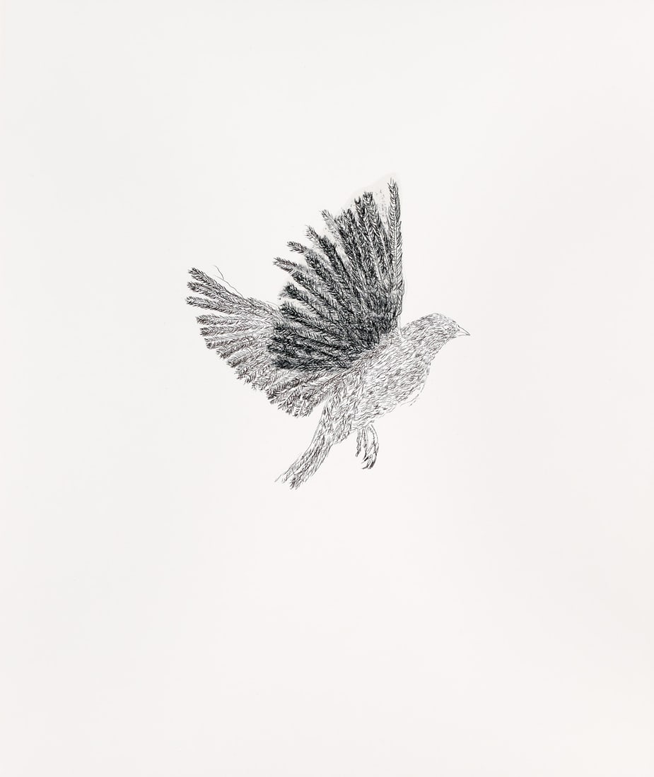 Smith, Kiki bird. 1996. Lithographie mit Collage aus bedrucktem Pergaminpapier auf Velin. 20 x 19 cm: Smith, Kiki bird. 1996. Lithographie mit Collage aus bedrucktem Pergaminpapier auf Velin. 20 x 19 cm (50 x 42 cm). Eingelegt in Orig.-Umschlag mit Drucktitel. - Sehr gut erhalten. Prachtvoller Druck m