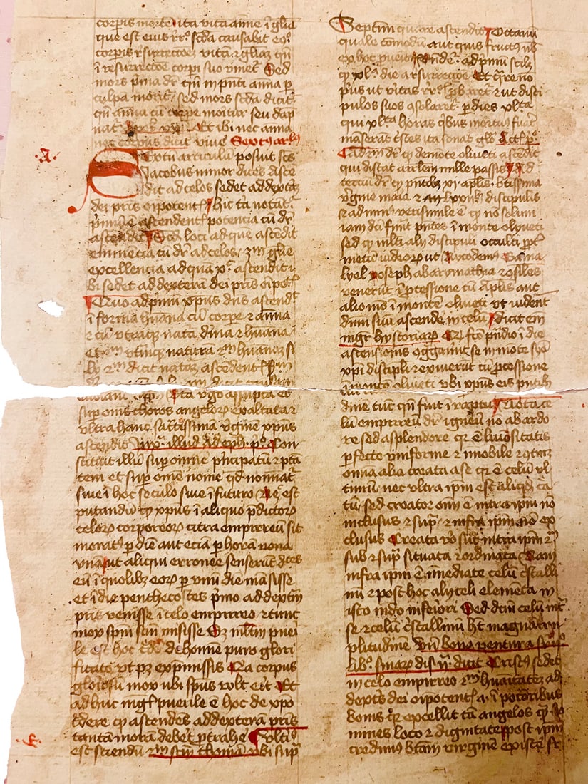 Expositio Symboli Apostolorum. Fragmente einer spätmittelalterlichen Handschrift. 18 Blä (1 of 1)