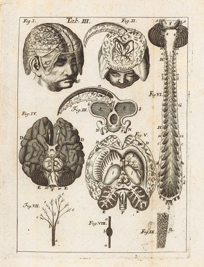 Eschenbach, Christian Ehrenfried Anatomische Beschreibung des Menschlichen Körpers. Mit (1 of 3)