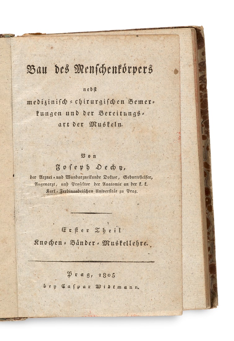 Oechy, Joseph Anton Bau des Menschenkörpers nebst medizinisch-chirurgischen Bemerkungen und der (1 of 1)