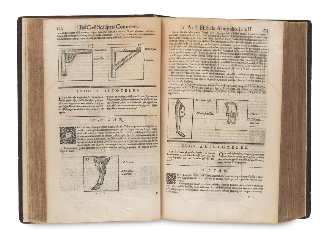 Aristoteles Historia de Animalibus. Iulio Caesare Scaligero interpreter, cum eiusdem Commentarijs. (1 of 2)