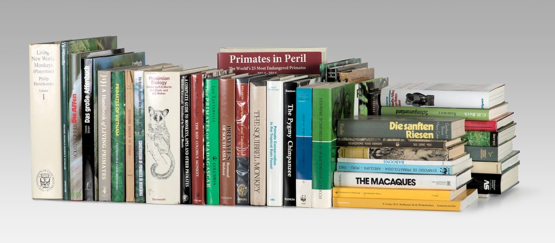 Umfangreiche Sammlung moderner Fachbücher und Bildbände über Gorillas und anderer (1 of 1)