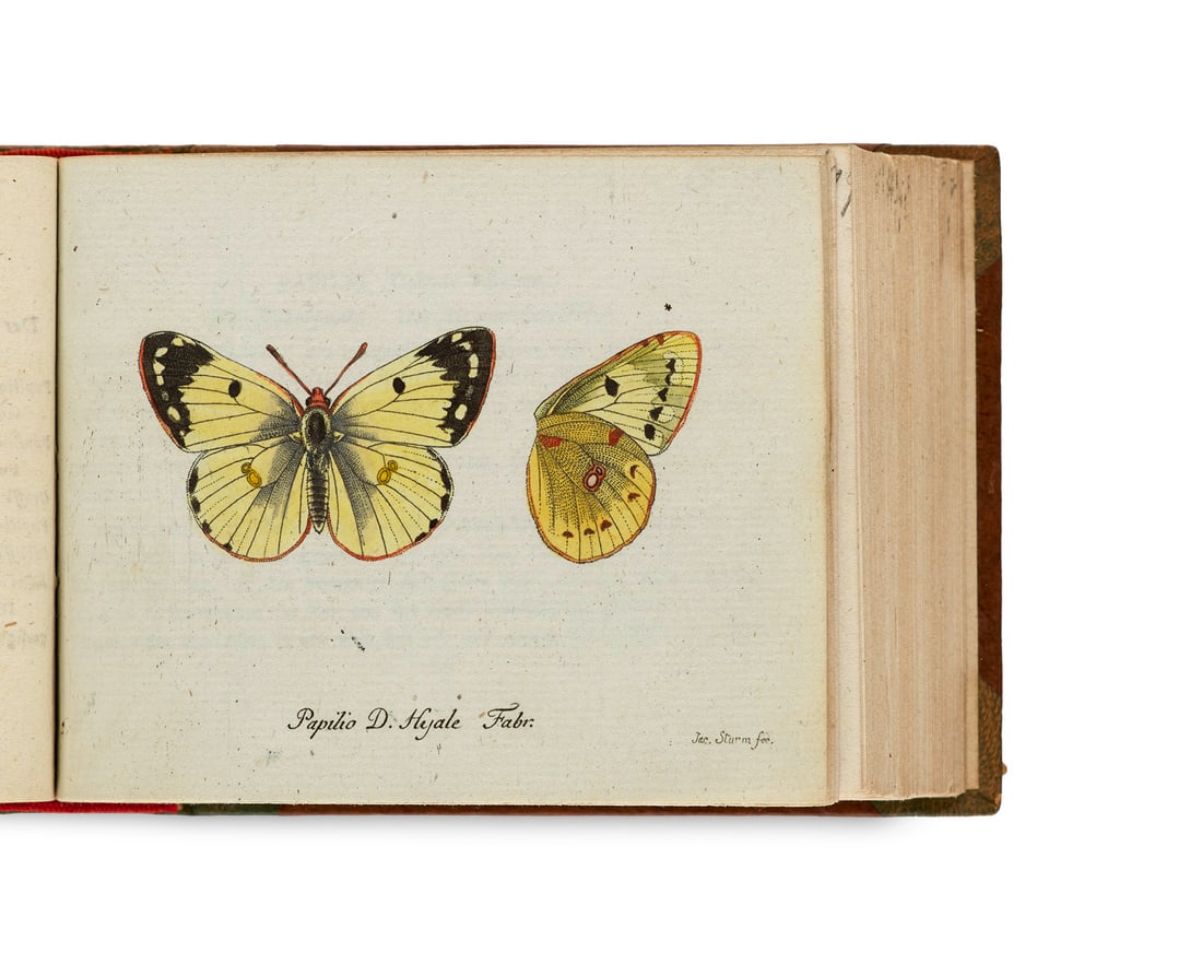 Panzer, Georg Wolfgang Franz Fauna insectorum Germanicae initia, oder Deutschlands Insecten. Heft (1 of 4)