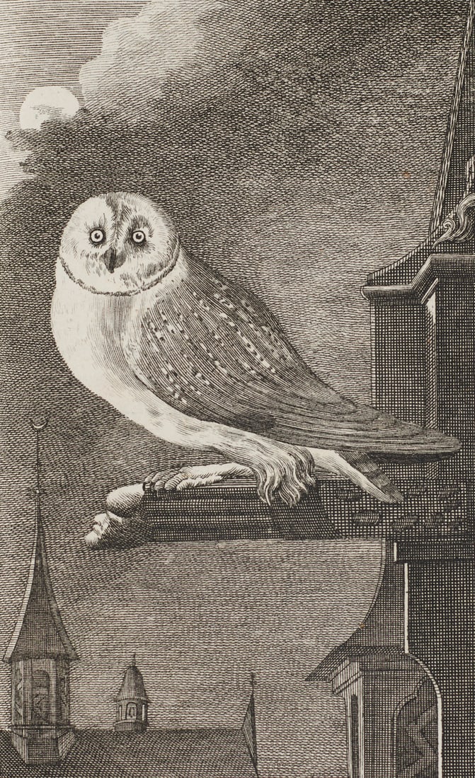 Buffon, Georges Louis Leclerc Histoire naturelle des oiseaux. 18 Bde. Mit insg. 262 Kupfertafeln.: Zoologie - OrnithologieBuffon, Georges Louis LeclercHistoire naturelle des oiseaux. 18 Bde. Mit insg. 262 Kupfertafeln. Paris, L'Imprimerie Royale, 1770-85. Kl.-8°. Gefleckt. Ldr. d. Zt. auf 5 B&