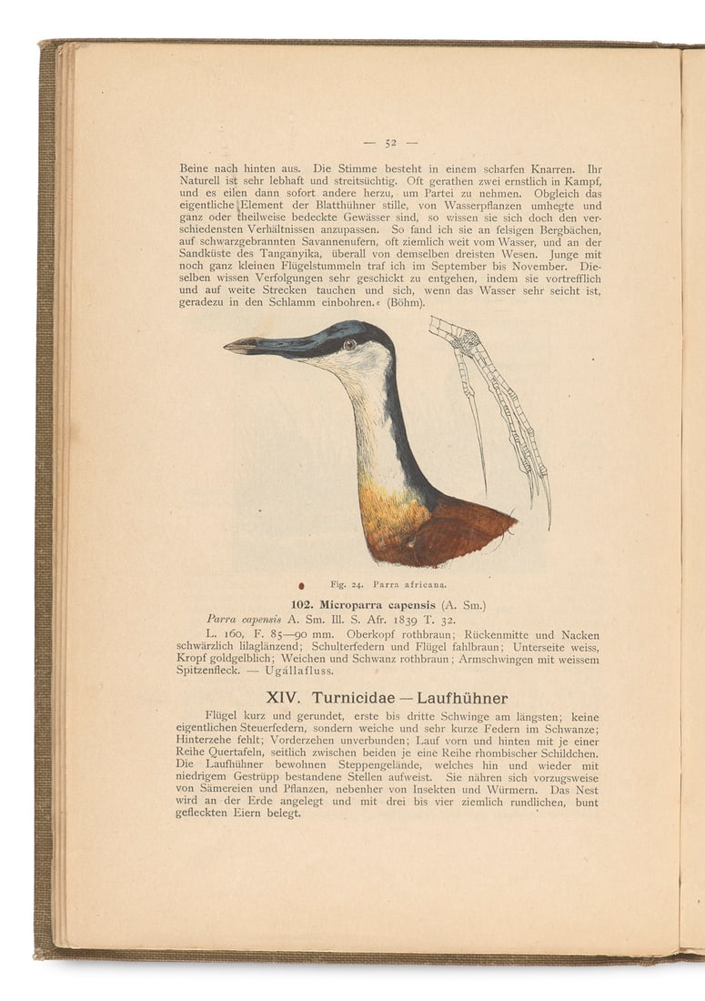 Reichenow, Anton Die Vögel Deutsch-Ost-Afrikas. Mit 108 in den Text gedruckten nach der Natur (1 of 3)