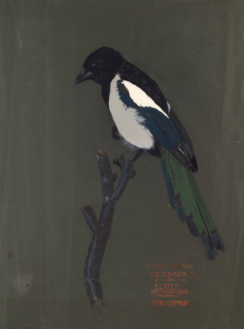 2 großformatige Darstellungen von Elster und Hahn. Um 1900er Jahre. Je Gouache auf schwarzem (1 of 1)