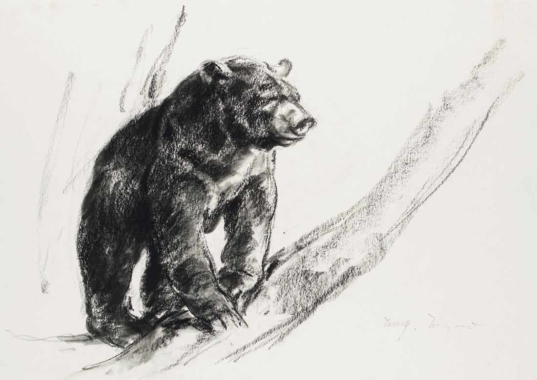 Wagner, Hansjörg Klettender Kragenbär. 2005. Schwarze Kreide auf Velin. 42 x 59,5 cm. (1 of 1)