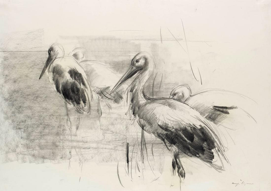 Wagner, Hansjörg Störche. 1991. Bleistift auf Velin. 42 x 59,5 cm. Signiert. - Papier (1 of 1)