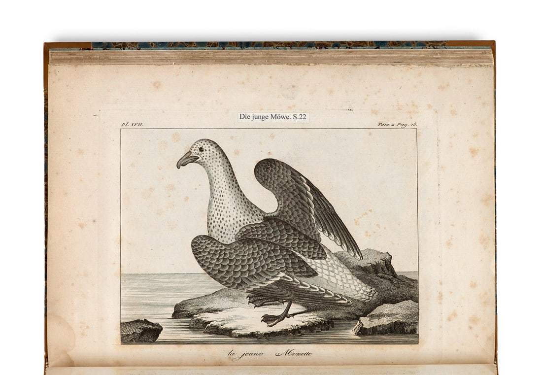 Olafsen), (Eggert Atlas du voyage en Islande, fait par ordre de S.M. Danoise. Mit gestoch. Karte u. (1 of 3)