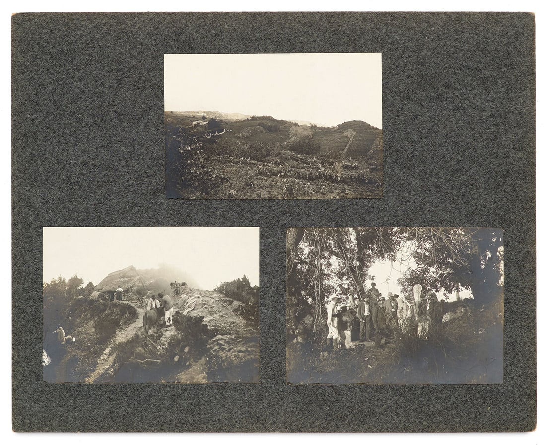 Sammlung von 89 Expeditionsphotos des deutschen Botanikers Erwin Baur auf den kanarischen Inseln. (1 of 1)