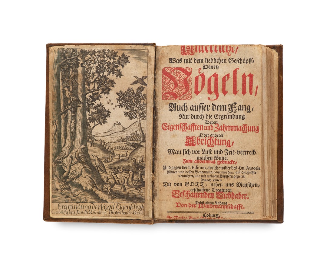 Pernau, Ferdinand A. von Unterricht, Was mit dem lieblichen Geschöpf, Denen Vögeln, Auch (1 of 4)