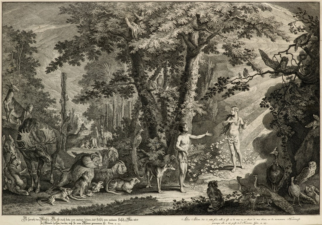 Ridinger, Johann Elias 3 Darstellungen aus "Das Paradies oder die Schöpfung und der Sü (1 of 1)