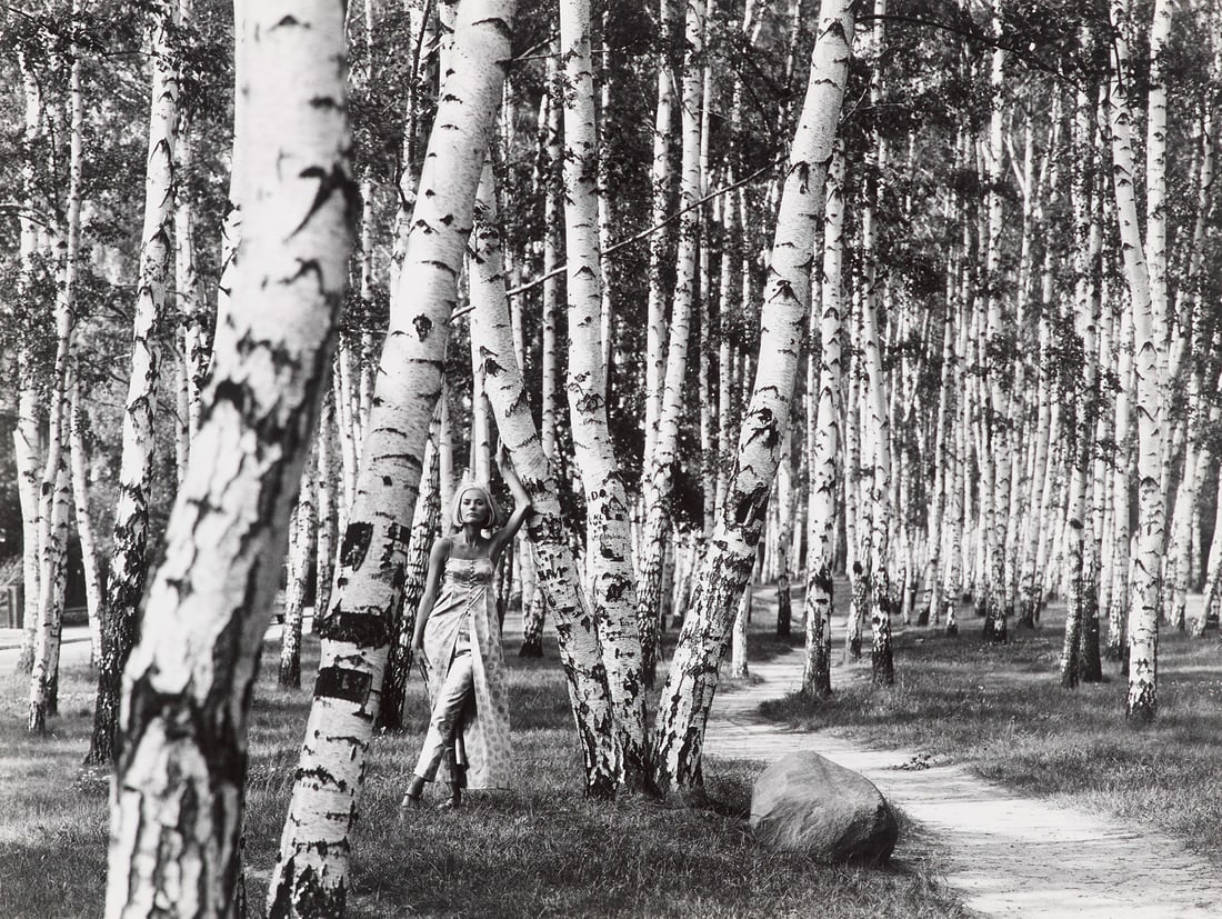 Franz Lazi Im Birkenwald. 1965. Vintage-Silbergelatine auf Photopapier. 17,4 x 23 cm. Verso mit (1 of 1)