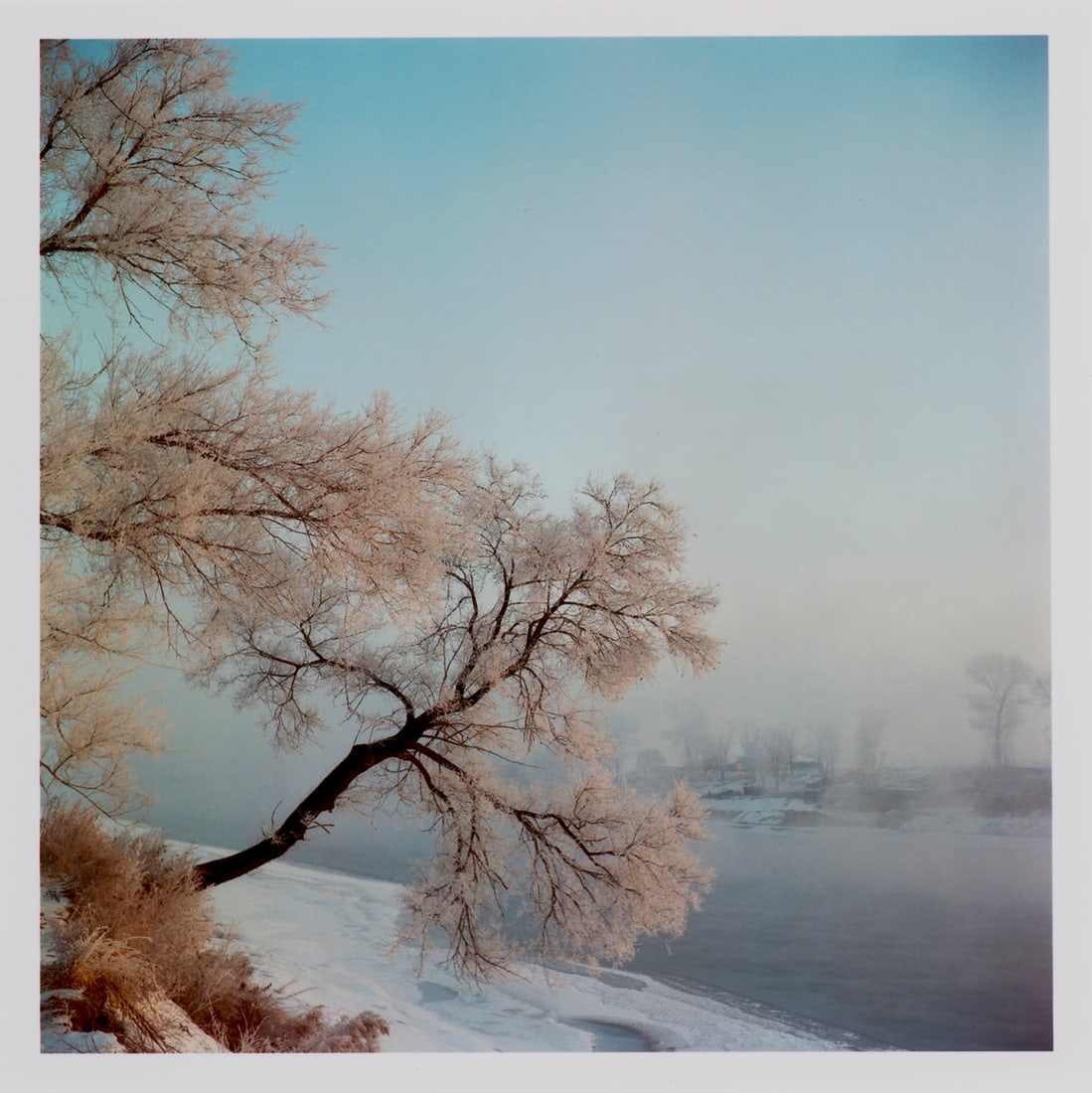 Kurt Tong Rime Ice (aus: Dear Franklin). 2016/2019. Digitaler C-Print auf Photopapier. 15 x 15 cm.: Kurt TongRime Ice (aus: Dear Franklin). 2016/2019. Digitaler C-Print auf Photopapier. 15 x 15 cm. Verso mit Etikett, dort signiert, mit dem Copyright-Stempel und weiteren typographischen Werksangaben.