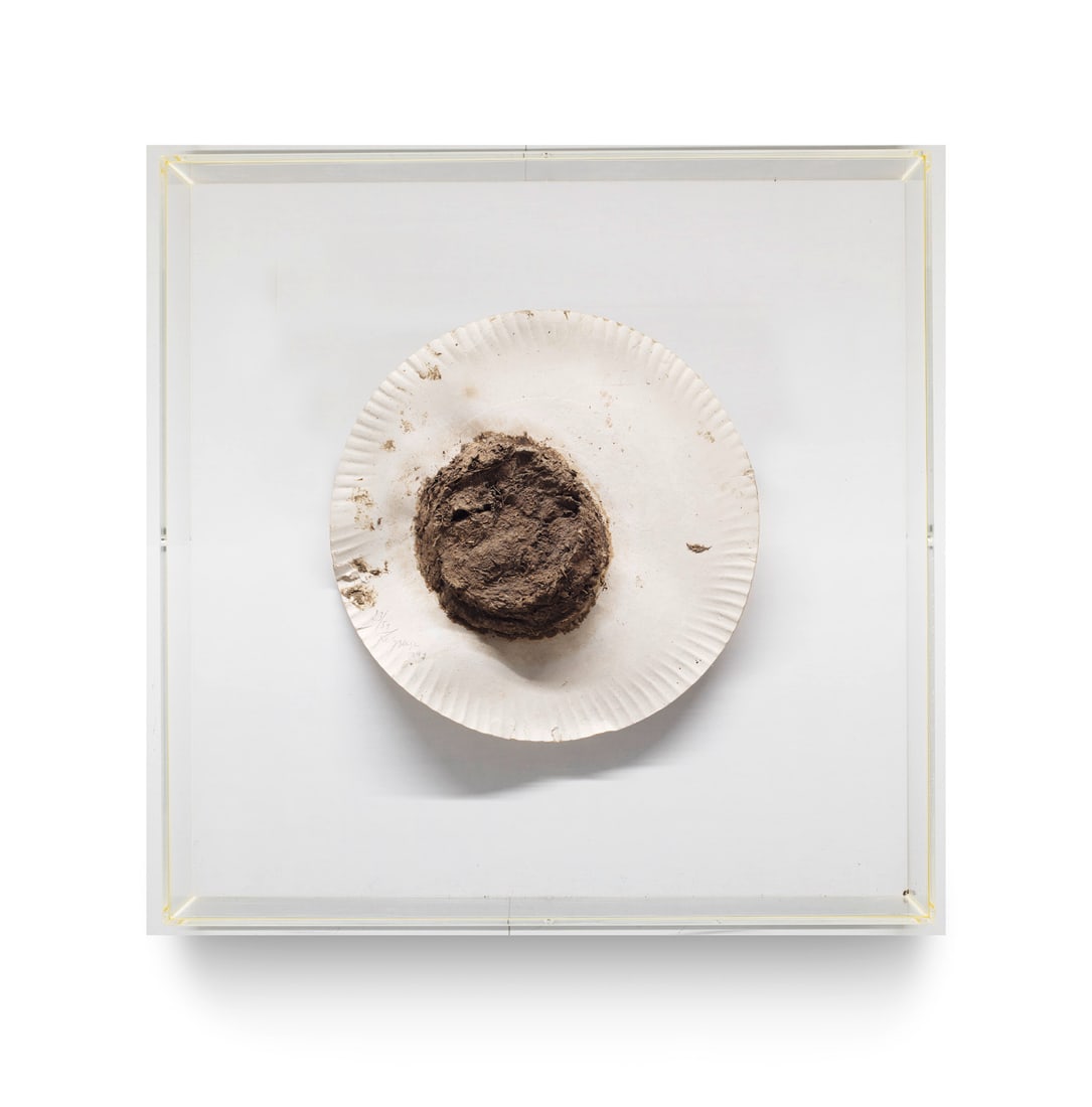 Felix Droese Reine Gesinnung. 1991. Pappteller und getrockneter Kuhdung in Plexiglasbox. 10 x 60 x (1 of 1)