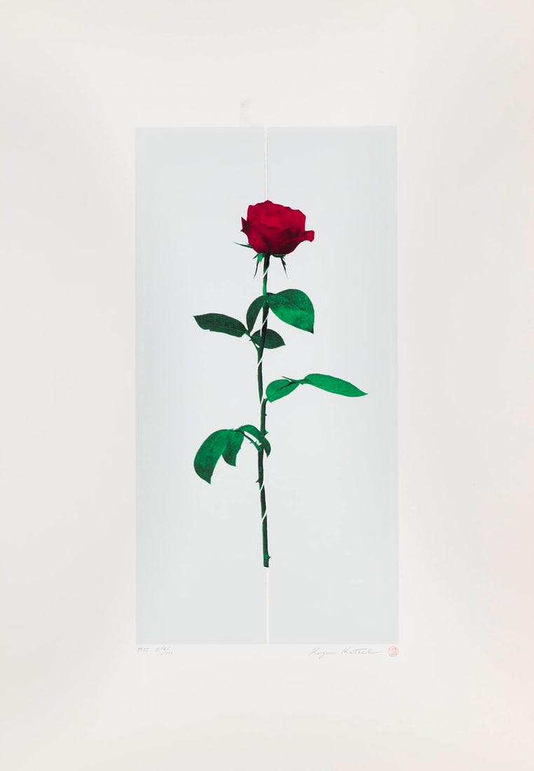 Kazuo Katase Eine Rose mit Draht. 1975. Offsetlithographie. 80,5 x 55,5 cm. (53,2 x 27 cm). (1 of 1)
