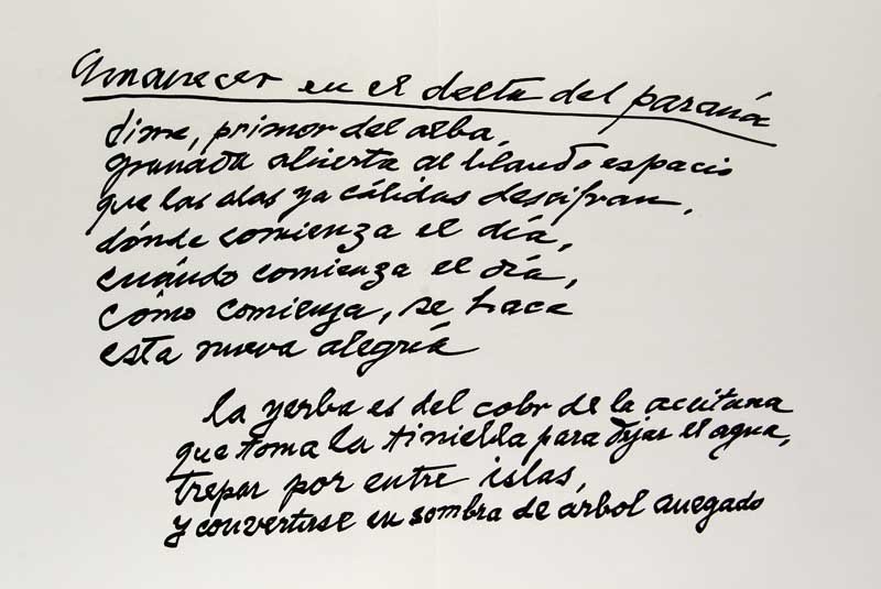 Asturias, Miguel Angel Amanecer en el Delta del Parana,: Amanecer en el Delta del Parana, e altre poesie. Mit 2 sign., farb. Lithographien von Rufino Tamayo u. 1 Faks. der Handschrift sowie 2 Porträts. Mailand, M'Arte Editioni, 1972. Folio. Lose Lagen in O