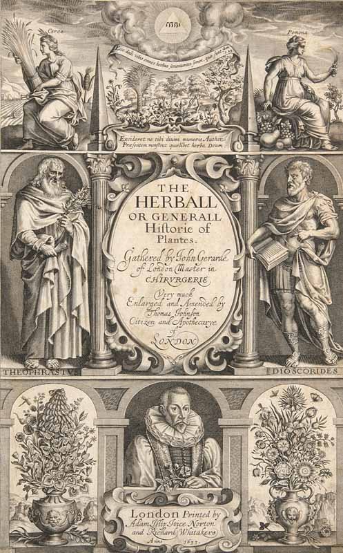 Gerarde, John The Herball or Generall Historie of: Gerarde, John The Herball or Generall Historie of Plantes. Very much Enlarged and Amended by Thomas Johnson, Citizen and Apothecarye of London. Mit gestoch. Titel u. über 2800 Textholzschn. London, A