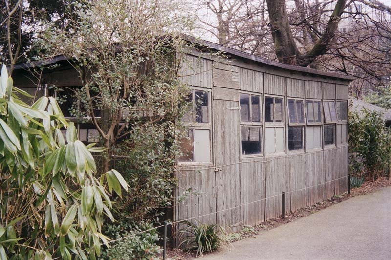 Dahn, Walter Aus: Sommer wie Winter. 1999/2003.: Dahn, Walter C-print. Edition Griffelkunst 2003. Signed and dated on verso. Aus: Sommer wie Winter. 1999/2003. C-Print. Edition Griffelkunst 2003. 23,9 x 35,8 cm (28 x 40 cm). Verso in Bleistift signi