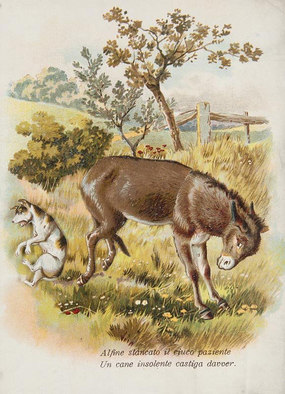 Massara de Capitani, Rosa Lieti Meriggi. Mit 2 (1 of 1)