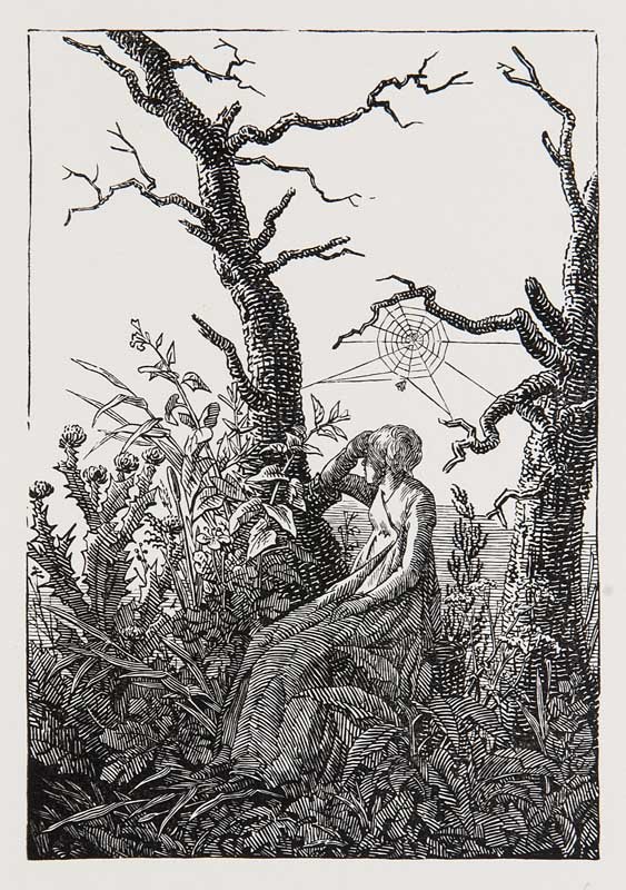 Sichowsky, Richard von Frau mit dem Spinnennetz. 1965. (1 of 1)