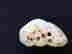 item-65946690=4