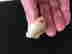item-65946690=6