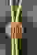 item-17830497=2