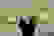 item-17830917=2