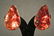 YVES SAINT LAURENT Rive Gauche par GOOSSENS Paire de cl