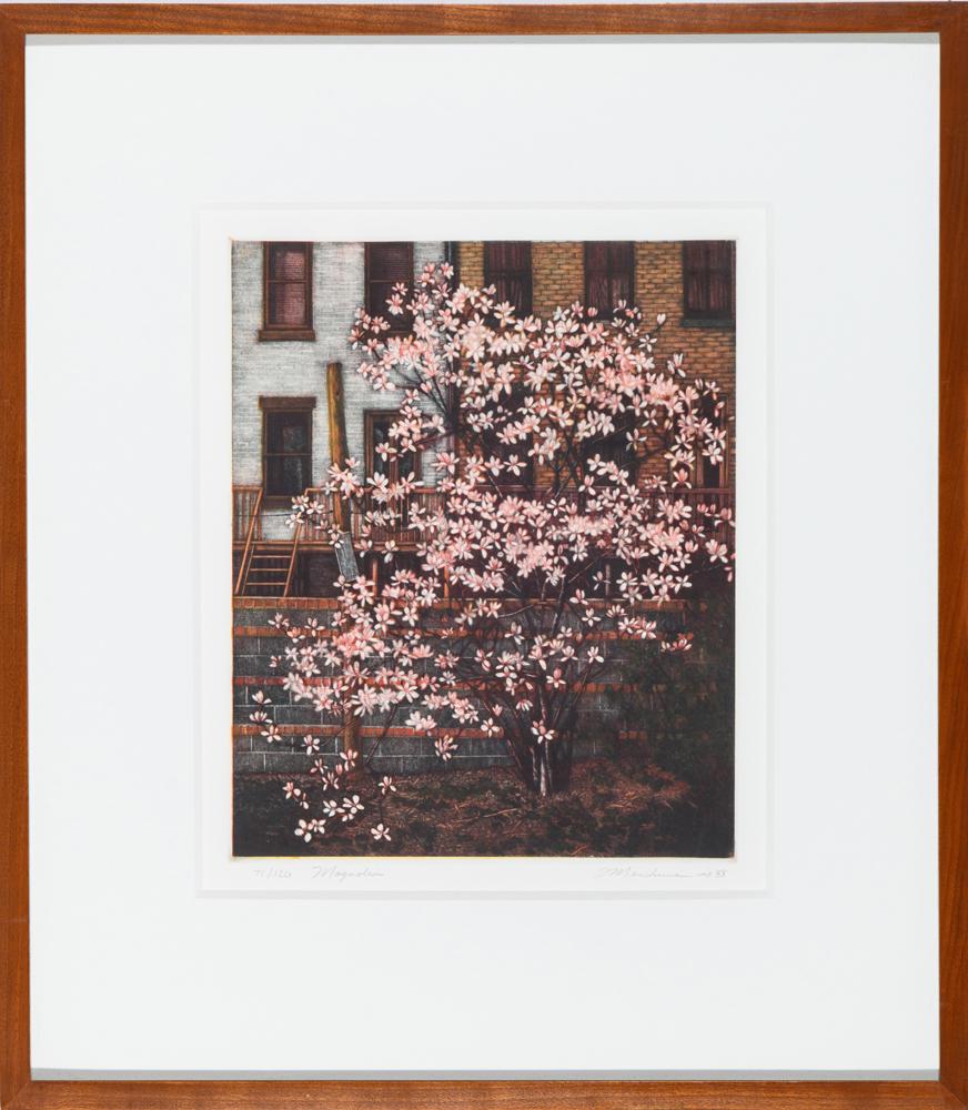 FREDERICK MERSHIMER (American, born 1958). Magnolia, (1 of 2)